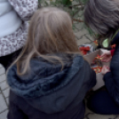 Karácsonyfa díszítő verseny