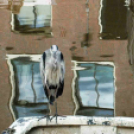 MAFOSZ kiállítás képei