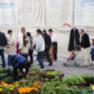 Régi idők piacztere - fotó: Kisfaludi István