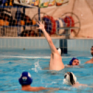 Ceglédi VSE - Gyöngyös