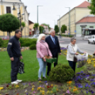 Ments meg egy árvácskát!