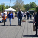 Virágvásár és főzőfesztivál Csemőben