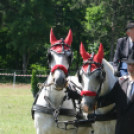 IX. Bor és Laskafesztivál - IV. Ceglédi Vágta