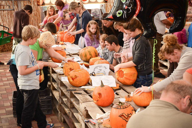 Egy tök sem maradt faragatlan