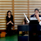 Hangszeres csalogató