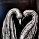 CEGLÉDI ALKOTÓK EGYESÜLETE - FOTÓ szekció