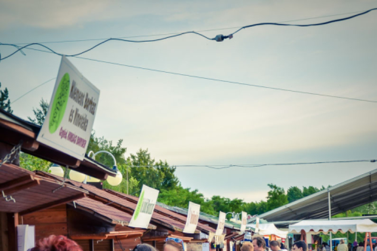 VII. Bor és laskafesztivál - 02