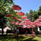 Pöttyös gyermeknap 2019