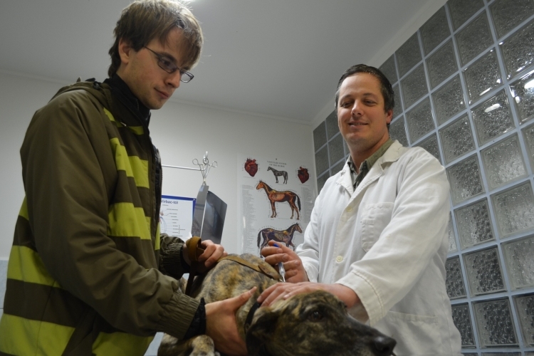 Mikrochipért rohamozták az állatorvosokat