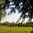 Színpompás bemutató