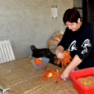 Éhmann Ferenc Horgászverseny