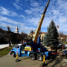 Karácsonyi készülődés a Szabadság téren