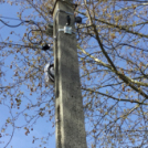 Lovas verseny a Füle Tanyán