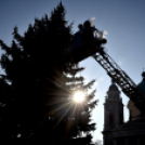 Feldíszítették a város karácsonyfáját