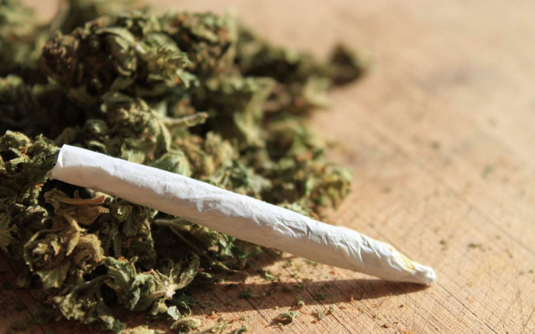 Abonyban is megterem a Herbál