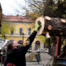 Megérkezett a város karácsonyfája