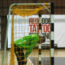 Ceglédi KKSE – Mezőkövesdi KC: 30-24 (11-17)