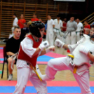 Sysman Open Nemzetközi Karateverseny