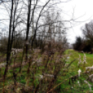 Vadak karácsonya Nyársapáton