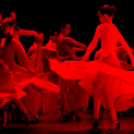 Tánc világnapja Cegléden