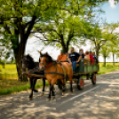 Nyitott Pince Napok - Kökény és Fia Családi Borászat