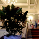 A legszebb kerteket, balkonokat és rajzokat díjazták