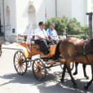 IX. Bor és Laskafesztivál - IV. Ceglédi Vágta