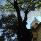 Halló Cegléd! - itt-ott