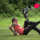 MAFOSZ kiállítás képei