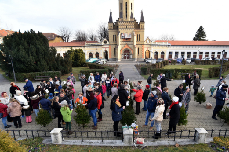 Karácsonyfa díszítő verseny