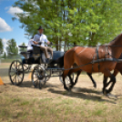 Ahol még a lovak is asztalhoz ülnek...