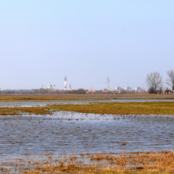 Belvízkárok Cegléden