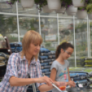 Rózsák Hétvégéje - Oázis Kertészeti Áruház