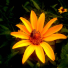 Telefonfotók - Ceglédi hangulatok