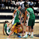 CEGLÉDI EKK – CMB CARGO GYŐR 66–74