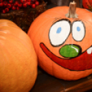 Családi tökfaragás - Oázis Kertészeti Áruház