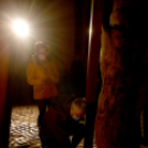 In memoriam november 4.