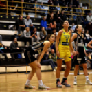 VBW CEKK CEGLÉD – BEAC ÚJBUDA