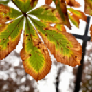 A bombatámadás áldozataira emlékeztek