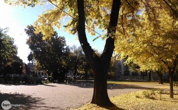 Aki ma napot lát, becsülje meg nagyon!