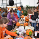 Családi tökfaragás az Oázis Kertészetben