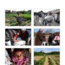 Ez történt Cegléden 1015-ben