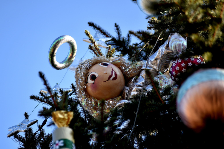 Feldíszítették a város karácsonyfáját