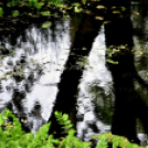 Karanténséta a Gerje parton