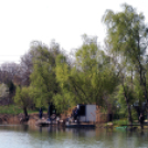 Éhmann Ferenc Emlék Kupa