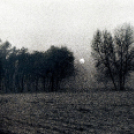 Fotóművészek kiállítás megnyitója