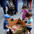 Piac-tér és Öko-játszóház