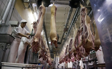 Politikai okok állnak az orosz hústilalom mögött?