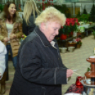 Orchideák éjszakája az Oázis kertészetben