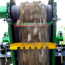 Városi Strandfürdő - Ledarálták az 50-est